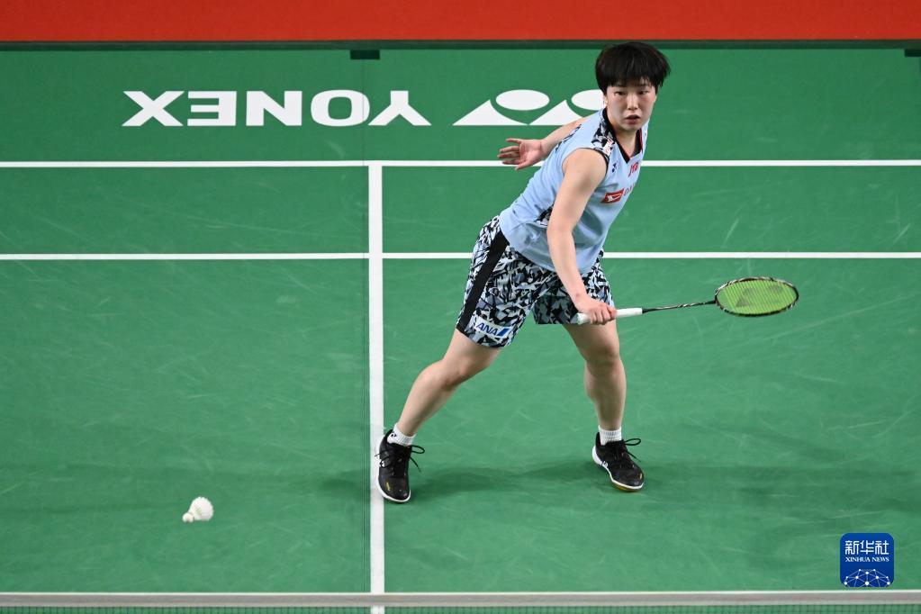 净利落的比 净利落的比